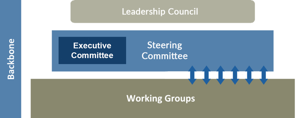 Graphic showing the leadership structure of EVMs Minus 9 to 5. The content is described in detail below.