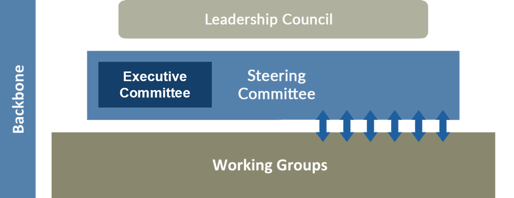 Organizational chart showing a Leadership Council at the top, with an Executive Committee and Steering Committee beneath it, connected to multiple Working Groups below; a vertical ‘Backbone’ bar runs along the left side