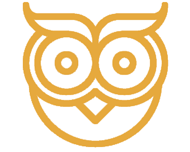 Owl icon outlined in gold color 